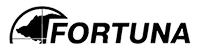 Сервисный центр fortuna в Воронеже